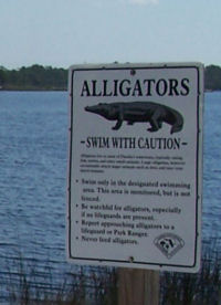 Alligator sign near Destin, FL